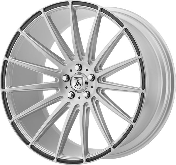 ABL-14 -Brushed Silver Carbon Fiber Insert